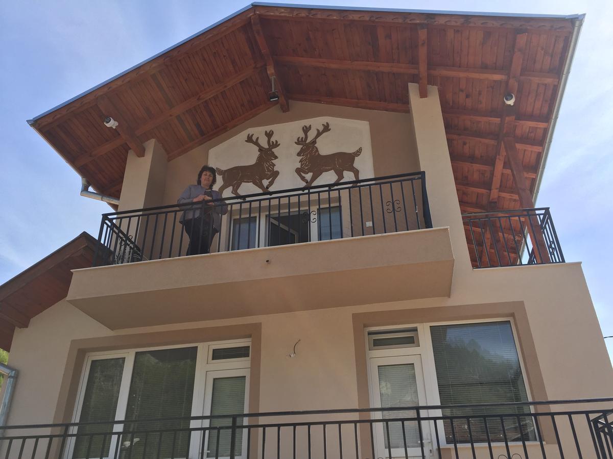 Elenite Guesthouse Gotse Delchev Buitenkant foto